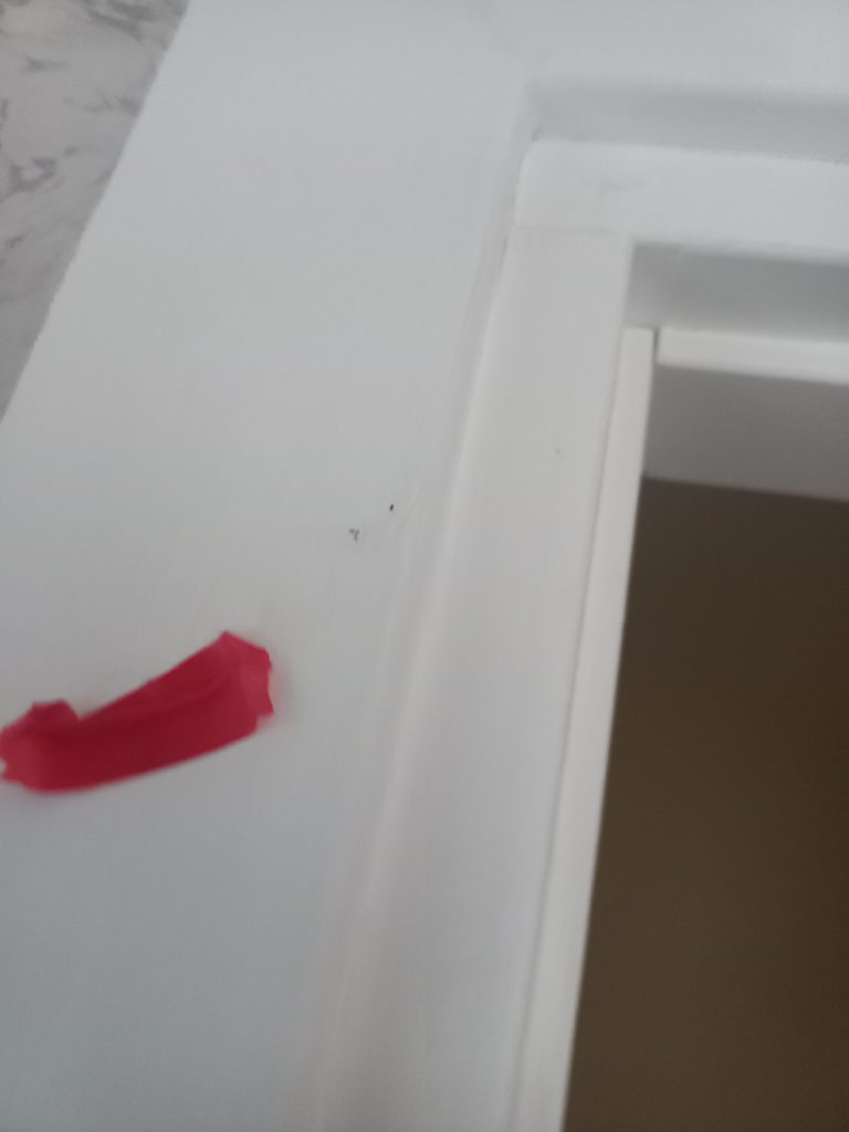 Приемка квартиры в новостройке