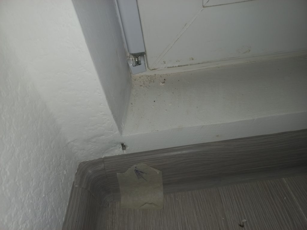 Осмотр квартир